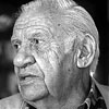 Prof. Nevit Kodallı