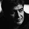İbrahim Erkal